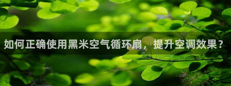 凯发注册平台安卓版下载
