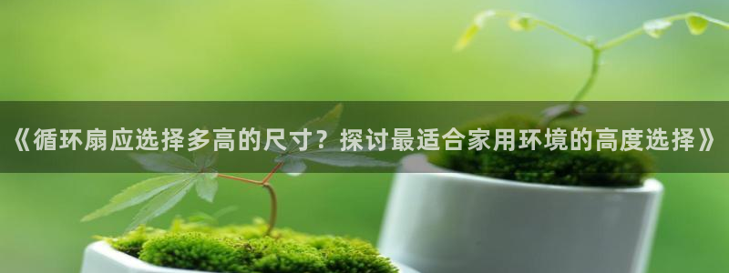 《循环扇应选择多高的尺寸？探讨最适合家用环境的高度选择》