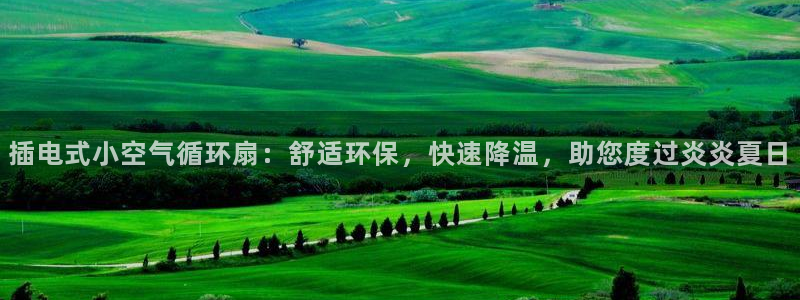 插电式小空气循环扇：舒适环保，快速降温，助您度过炎炎夏日