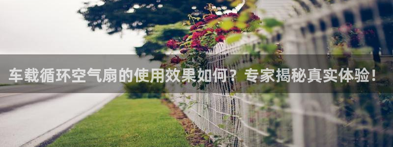 车载循环空气扇的使用效果如何？专家揭秘真实体验！