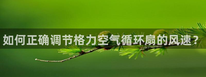 如何正确调节格力空气循环扇的风速？