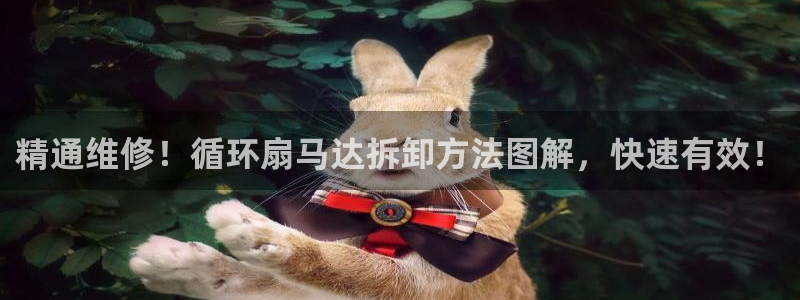 凯发k8官方网娱乐官方：精通维修！循环扇马达拆卸方法图解，快速有效！