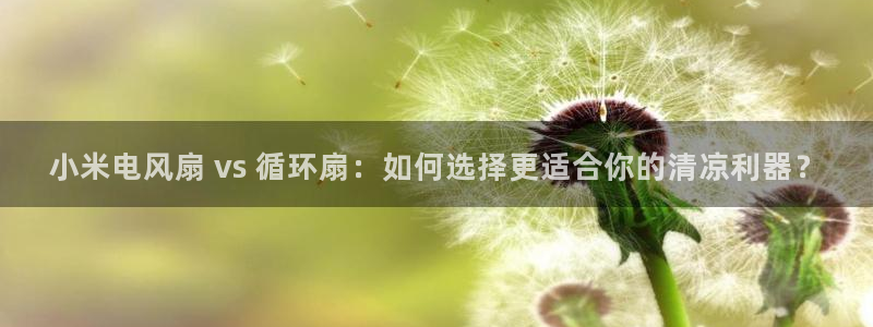 凯发k8天生赢家·一触即发：小米电风扇 vs 循环扇：如何选择更适合你的清凉利器？