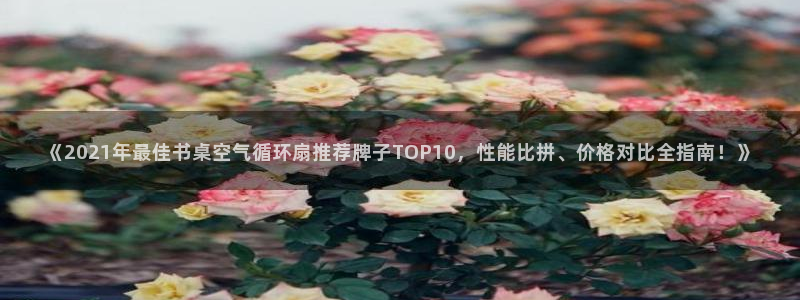 凯发官网登录手机版：《2021年最佳书桌空气循环扇推荐牌子TOP10，性能比拼、价格对比全指南！》