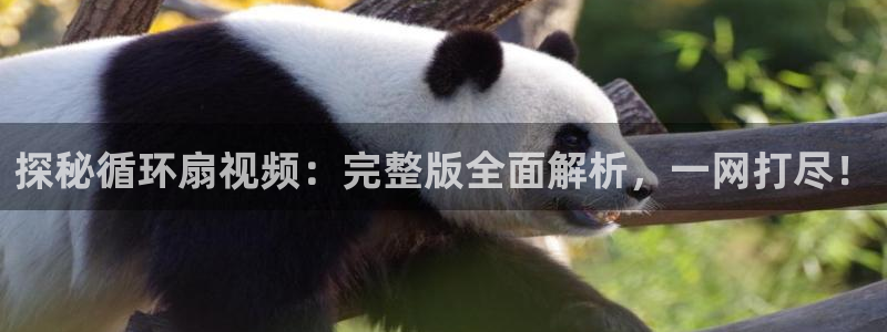 凯发k8旗舰厅app下载i来就送38元：探秘循环扇视频：完整版全面解析，一网打尽！