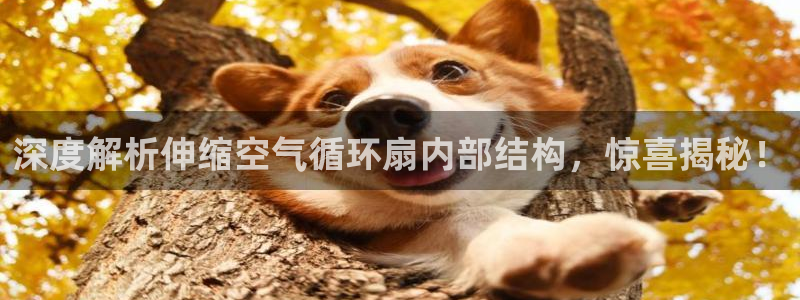 凯发k8旗舰厅app下载i来就送38元：深度解析伸缩空气循环扇内部结构，惊喜揭秘！