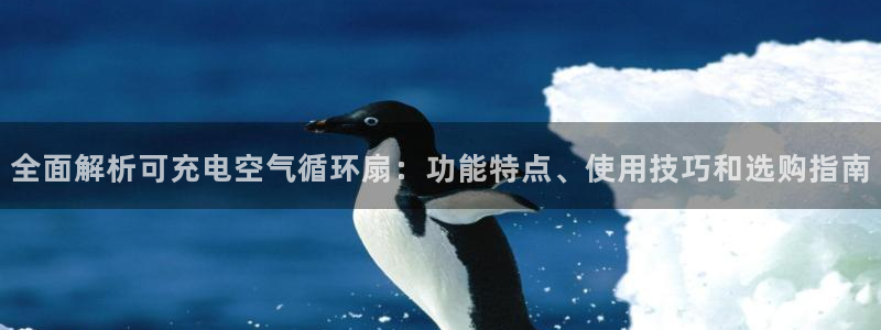 凯发k8娱乐平台能提现吗：全面解析可充电空气循环扇：功能特点、使用技巧和选购指南