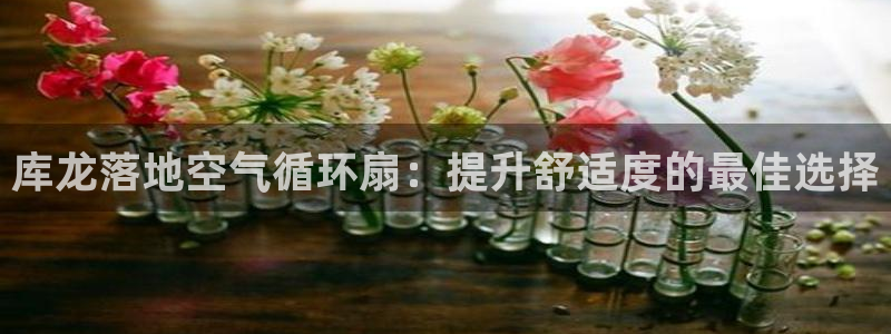 凯发就来凯发天生赢家一触即发：库龙落地空气循环扇：提升舒适度的最佳选择
