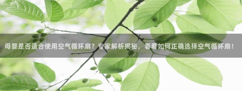 凯发首页：母婴是否适合使用空气循环扇？专家解析揭秘，看看如何正确选择空气循环扇！
