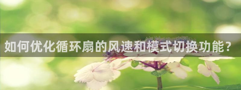 凯发官方网站是多少：如何优化循环扇的风速和模式切换功能？