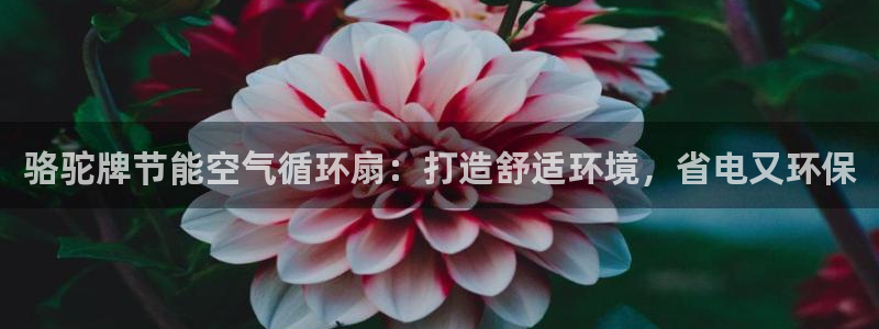 凯发k873：骆驼牌节能空气循环扇：打造舒适环境，省电又环保