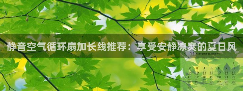 凯发a600丶cc官网首页：静音空气循环扇加长线推荐：享受安静凉爽的夏日风