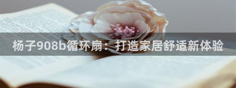 凯发首页登录：杨子908b循环扇：打造家居舒适新体验