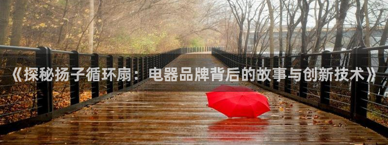 凯发k8国际首页登录：《探秘扬子循环扇：电器品牌背后的故事与创新技术》