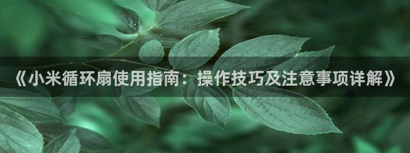 凯发k8娱乐官网旗舰厅：《小米循环扇使用指南：操作技巧及注意事项详解》