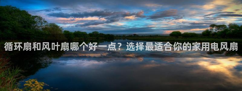 凯发k8娱乐官网旗舰厅：循环扇和风叶扇哪个好一点？选择最适合你的家用电风扇