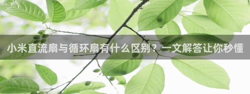 凯发平台轻7O777：小米直流扇与循环扇有什么区别？一文解答让你秒懂
