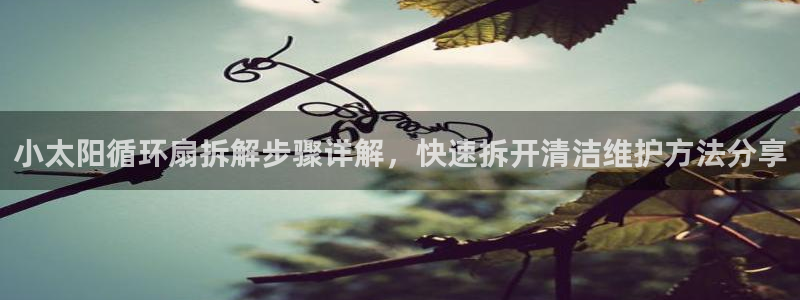 凯发娱乐国际厅：小太阳循环扇拆解步骤详解，快速拆开清洁维护方法分享
