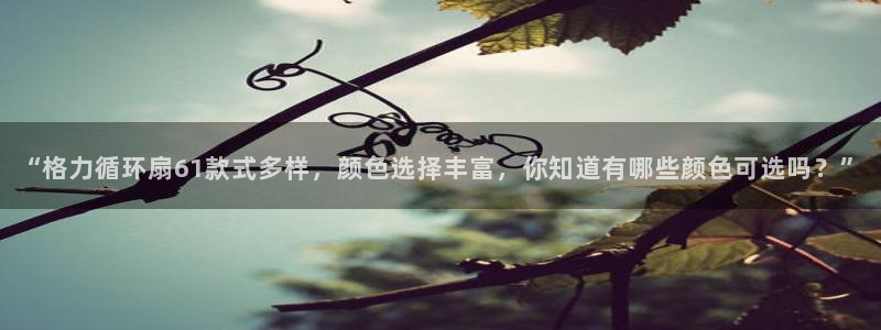 凯发官网下载客户端：“格力循环扇61款式多样，颜色选择丰富，你知道有哪些颜色可选吗？”