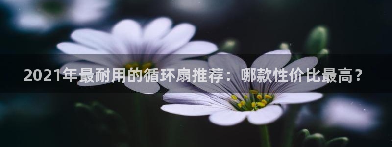 凯发官方网站下载：2021年最耐用的循环扇推荐：哪款性价比最高？