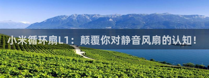 凯发k8娱乐倒闭了吗：小米循环扇L1：颠覆你对静音风扇的认知！