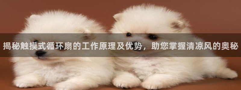 凯发手机官网：揭秘触摸式循环扇的工作原理及优势，助您掌握清凉风的奥秘