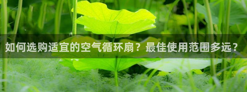 凯发k8娱乐官方版fxzls -安卓3.5：如何选购适宜的空气循环扇？最佳使用范围多远？