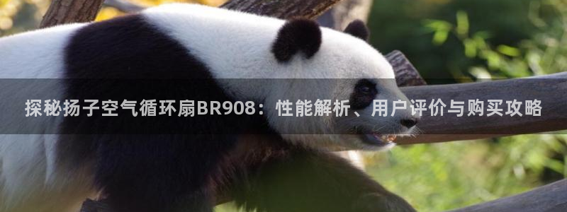 凯发k8天生赢家·一触即发：探秘扬子空气循环扇BR908：性能解析、用户评价与购买攻略