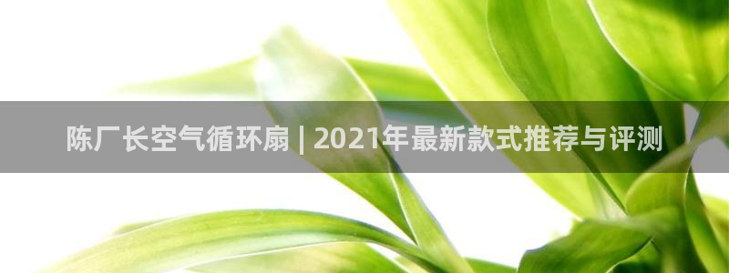 凯发官网登录免费下载：陈厂长空气循环扇 | 2021年最新款式推荐与评测