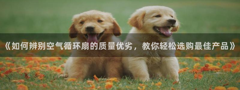 凯发k8娱乐网址多少：《如何辨别空气循环扇的质量优劣，教你轻松选购最佳产品》