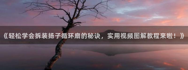 凯发国际是什么投资平台：《轻松学会拆装扬子循环扇的秘诀，实用视频图解教程来啦！》