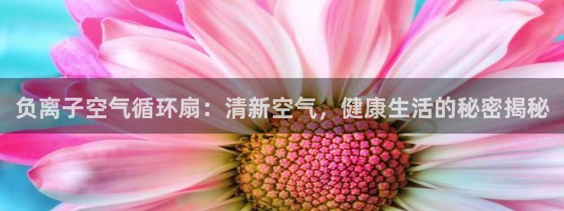 凯发旗舰厅网站：负离子空气循环扇：清新空气，健康生活的秘密揭秘