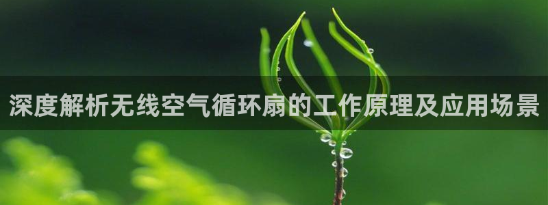 凯发平台k8：深度解析无线空气循环扇的工作原理及应用场景