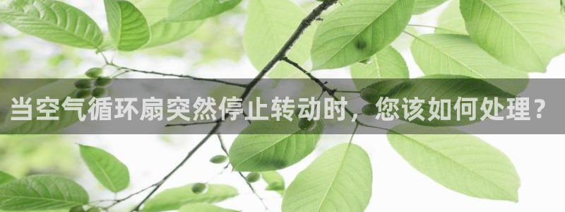 凯发就来凯发天生赢家一触即发：当空气循环扇突然停止转动时，您该如何处理？