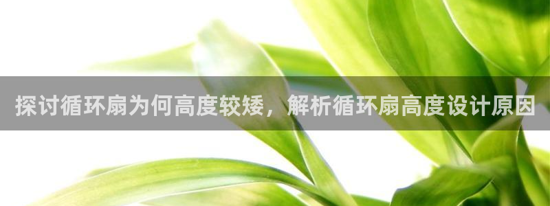 凯发k8官网so选来就送38：探讨循环扇为何高度较矮，解析循环扇高度设计原因
