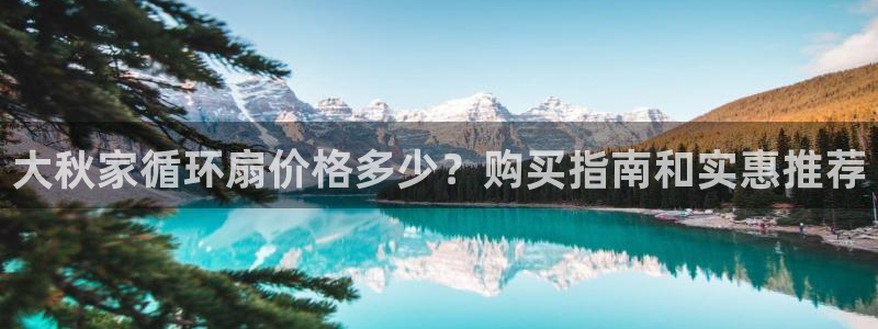 凯发k8娱乐现在还有吗：大秋家循环扇价格多少？购买指南和实惠推荐