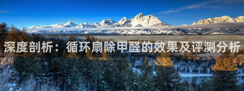 凯发官网入口首页：深度剖析：循环扇除甲醛的效果及评测分析