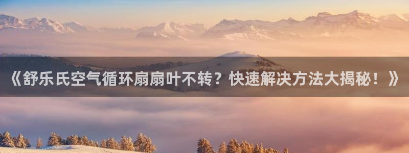 凯发官方网站下载：《舒乐氏空气循环扇扇叶不转？快速解决方法大揭秘！》