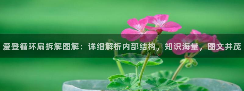 凯发k8旗舰厅手机app下载：爱登循环扇拆解图解：详细解析内部结构，知识海量，图文并茂