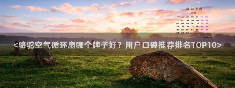 凯发k8是真是假：<骆驼空气循环扇哪个牌子好？用户口碑推荐排名TOP10>