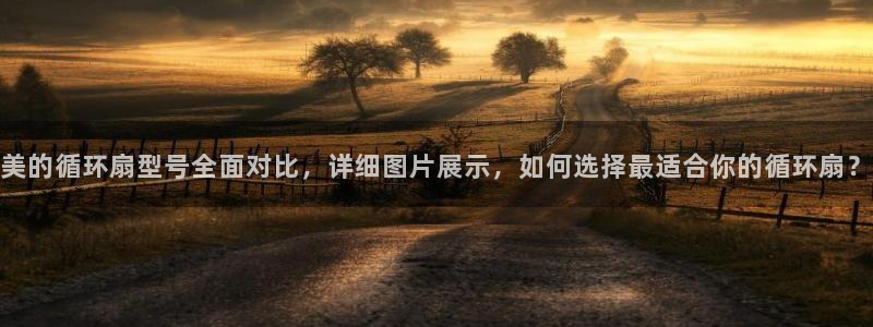 凯发k8娱乐|k808.vip：美的循环扇型号全面对比，详细图片展示，如何选择最适合你的循环扇？