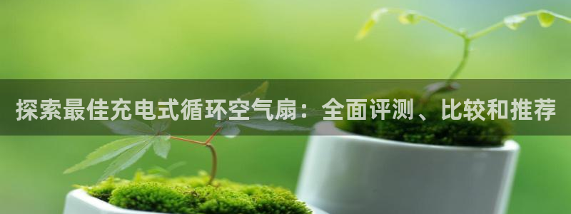 凯发app是干嘛的：探索最佳充电式循环空气扇：全面评测、比较和推荐