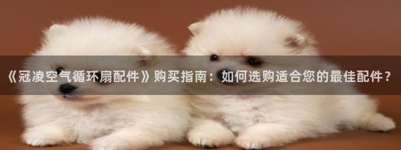 凯发官方首页：《冠凌空气循环扇配件》购买指南：如何选购适合您的最佳配件？