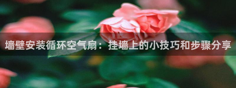 凯发k8手机是正品吗知乎：墙壁安装循环空气扇：挂墙上的小技巧和步骤分享