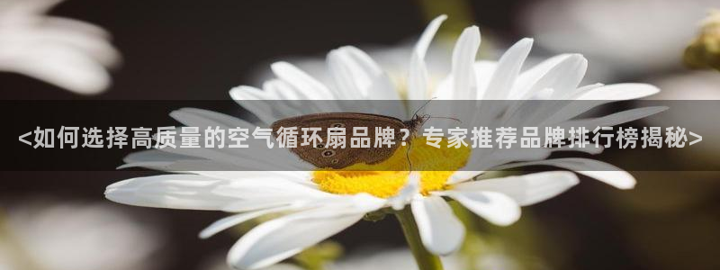 凯发娱乐官方网站：<如何选择高质量的空气循环扇品牌？专家推荐品牌排行榜揭秘>