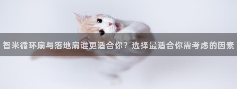 凯发k8官方网娱乐官方：智米循环扇与落地扇谁更适合你？选择最适合你需考虑的因素