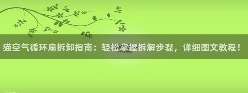 凯发k8娱乐官网网址中心：猫空气循环扇拆卸指南：轻松掌握拆解步骤，详细图文教程！
