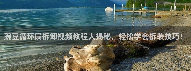 凯发国际平台登录入口官网：豌豆循环扇拆卸视频教程大揭秘，轻松学会拆装技巧！