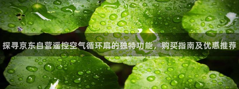 k8凯发国际首页：探寻京东自营遥控空气循环扇的独特功能，购买指南及优惠推荐