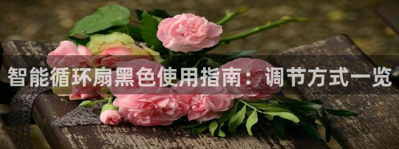 凯发唯一官方网站：智能循环扇黑色使用指南：调节方式一览